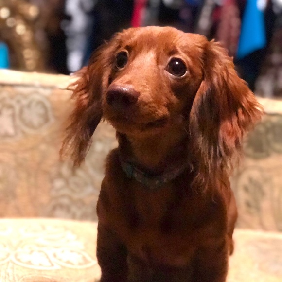 Meet your Posher, Kimberly - Picture 2 of 3